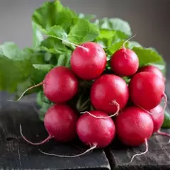 Rabanete Cometo