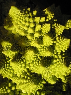 Brocoli Romanesco - comprar online