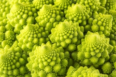 Brocoli Romanesco