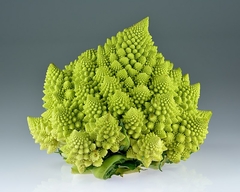 Brocoli Romanesco na internet