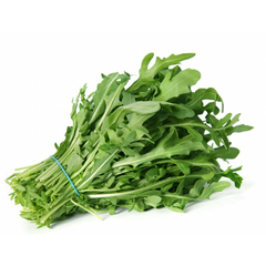 Rúcula Selvática - Rúcula Sylvatica - Rúcula Selvagem - Rúcula Gourmet