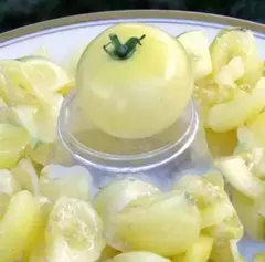 Tomate Super Snow White - Tomate Branco na internet