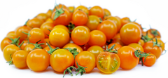 Tomate Cereja Laranja