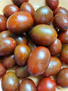 Tomate Cereja Chocolate - Tomate Cherry Chocolate na internet