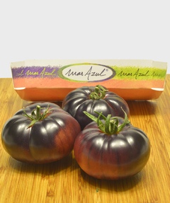 Tomate Mar Azul - Inacreditável mas real - Plantamundo