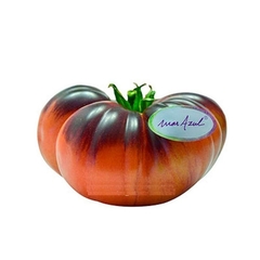 Tomate Mar Azul - Inacreditável mas real - comprar online