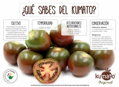Tomate Gourmet Mini Kumato Cherry De Austrália - comprar online