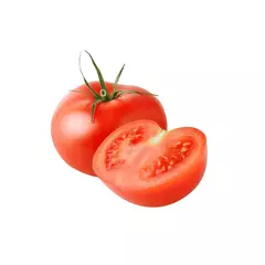 Tomate Rutgers - Crioulo de USA - Sementes na internet