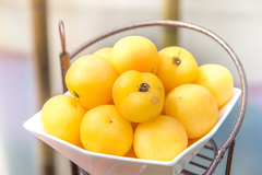 Tomate Wapsipinicon Pêssego Peach - raríssimo e delicioso - loja online