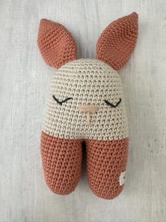 Conejitos Bípedos en internet