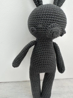 Imagen de Gilbert, el conejo.