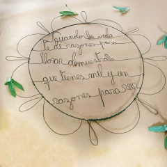 Frase Inspiradora Reir