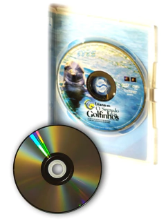 Dvd Eliana Em O Segredo Dos Golfinhos Fernanda Souza Original Eliana Fonseca na internet