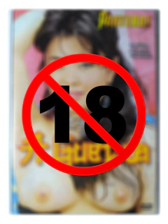 DVD A Gueixa As Panteras Mariana Satto Sexo Explícito Pornô Original