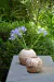FLORERO ESGRAFIADO CH - comprar online
