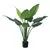 IMPERIAL GREEN 120 CM - comprar online