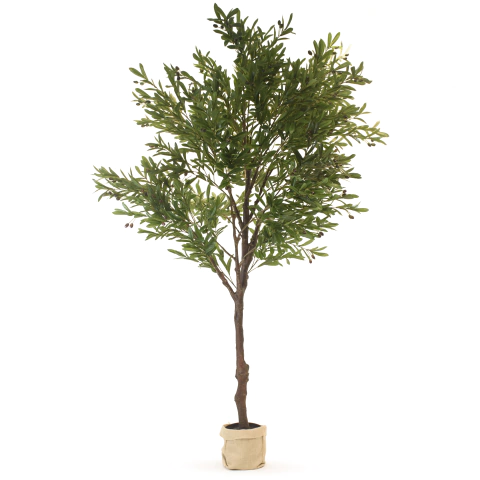 ARBOL OLIVO 240 CM