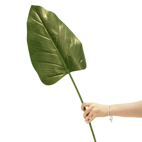 HOJA VERT EMPIRE 83CM