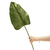 HOJA VERT EMPIRE 83CM