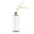 ORQUÍDEAS BLANCAS - comprar online