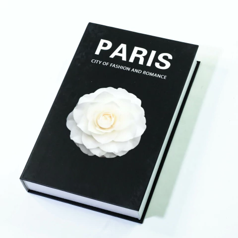 BOOK PARIS - comprar online