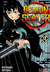 IVREA - Demon Slayer - Kimetsu no Yaiba Vol 12