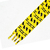Cordones Harry Potter - Hufflepuff