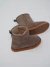 Pantubota Andes Vison en internet