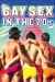 Sexo Gay nos Anos 70