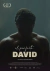 O Perfeito David