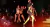 Studio 54 - Clube do Colecionador