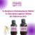 Kit para Produção de Cheirinhos de Carro com 20 Vidrinhos - comprar online