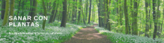 Banner de la categoría Terapias naturales