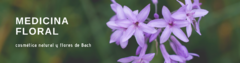 Banner de la categoría Flores de Bach