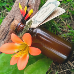 Ámbar & Ylang Perfume de Equinoccio
