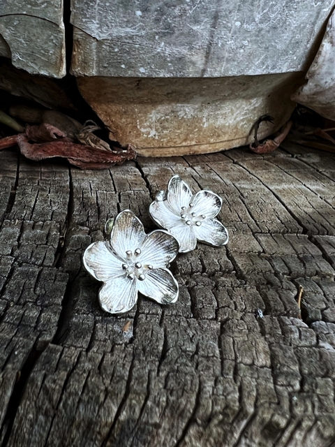 Aros Magnolia plata