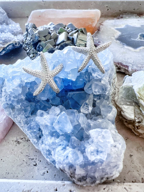 Aros estrella de mar