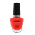 Esmalte Cuccio Colour Shaking my Morocco Coral 13ml - comprar online