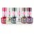 Kit Esmaltes Ana Hickmann Glitter Para você brilhar 6 cores