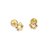Aros Abridores - Oro 18k - Flores