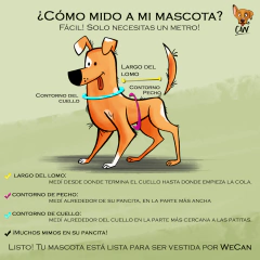 SW FRIDA SMITH en internet