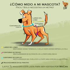 FULL DOG PARTY - WeCan