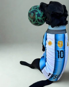 SWEATER ARGENTINA PERSONALIZADO