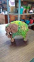 Forma de fibra e silicone para fazer Elefante Encantado