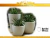 Conjunto Redondo Novo tam 1 , 2 e Vaso Mid