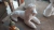 Forma de Fibra e Silicone para fazer Cachorrinho Poodle - comprar online