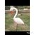 Formas de fibra para fazer Tucano 1 e Garça Flamingo - comprar online