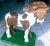 Imagem do Forma em Fibra para fazer Cavalo