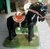 Forma em Fibra para fazer Cavalo - loja online