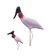 Kit de Formas Para Aves